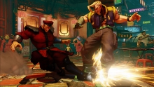 m-bison-05