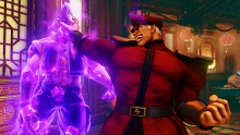 m-bison-08