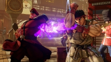 m-bison-09