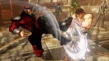 m-bison-11