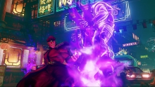 m-bison-13