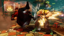 m-bison-14