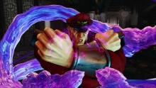 m-bison-15