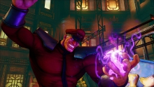 m-bison-16